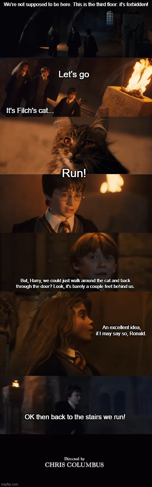 We're not supposed to be here. This is the third floor: it's forbidden! Let's go; It's Filch's cat... Run! But, Harry, we could just walk around the cat and back through the door? Look, it's barely a couple feet behind us. An excellent idea, if I may say so, Ronald. OK then back to the stairs we run! | image tagged in harry potter meme,harry potter,harry potter crazy,cat,hermione granger,ron weasley | made w/ Imgflip meme maker