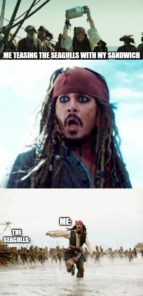 NEVER tease a seagull | ME TEASING THE SEAGULLS WITH MY SANDWICH; THE SEAGULLS:; ME: | image tagged in jack sparrow jar of dirt,jack sparrow oh no,memes,jack sparrow being chased | made w/ Imgflip meme maker