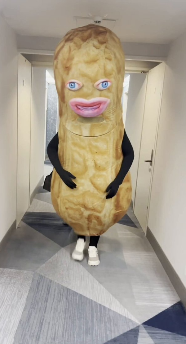 Peanut Costume Blank Meme Template