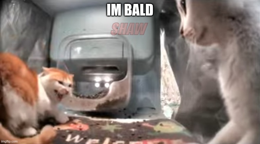 The gluttonous beast vs. Ms. kirby | SHAW; IM BALD | image tagged in the gluttonous beast vs ms kirby | made w/ Imgflip meme maker
