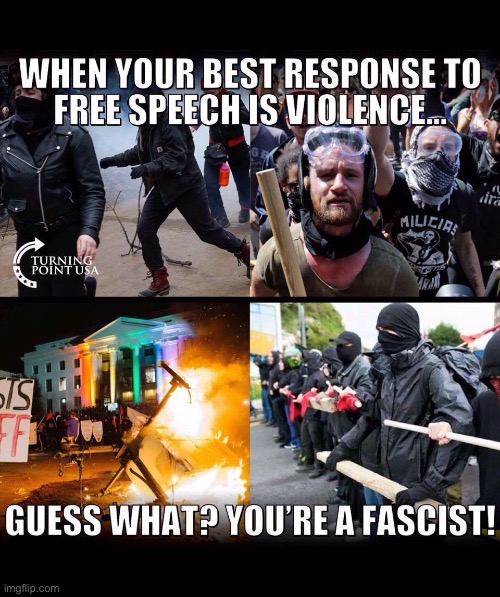 Absolute truth… | image tagged in real politics,antifa,violence,they hate free speech,democrats | made w/ Imgflip meme maker