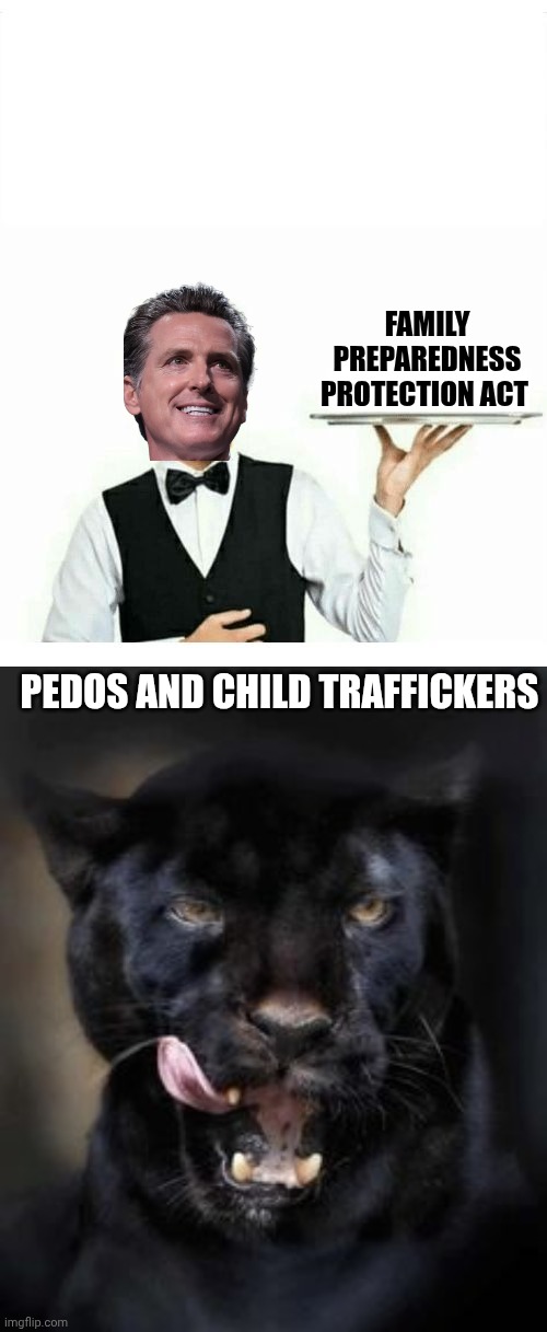 Family Preparedness Plan Act | FAMILY PREPAREDNESS PROTECTION ACT; PEDOS AND CHILD TRAFFICKERS | image tagged in waiter,gavin,california,children,kidnapping | made w/ Imgflip meme maker