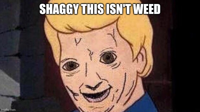 Shaggy this isn't weed | SHAGGY THIS ISN'T WEED | image tagged in shaggy this isn't weed | made w/ Imgflip meme maker