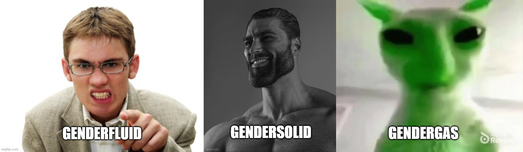 The three states of gendermatter | GENDERSOLID; GENDERGAS; GENDERFLUID | image tagged in angry liberal,giga chad,goofy ahh alien cat | made w/ Imgflip meme maker
