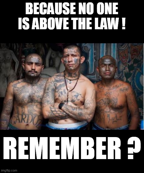 BECAUSE NO ONE IS ABOVE THE LAW ! REMEMBER ? | made w/ Imgflip meme maker