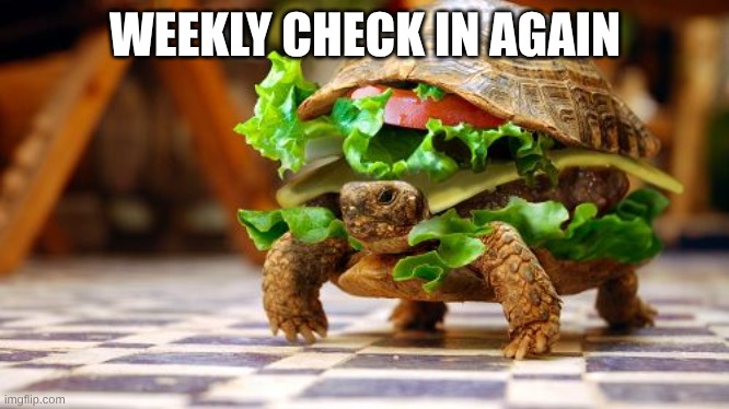 have any of you heard it yet? | WEEKLY CHECK IN AGAIN | image tagged in tortoise sandwich | made w/ Imgflip meme maker