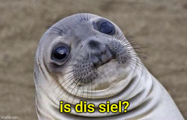 Awkward Moment Sealion Meme | is dis siel? | image tagged in memes,awkward moment sealion | made w/ Imgflip meme maker