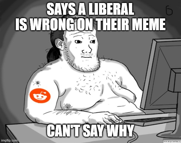 It shows! | SAYS A LIBERAL IS WRONG ON THEIR MEME; CAN'T SAY WHY | image tagged in average redditor | made w/ Imgflip meme maker