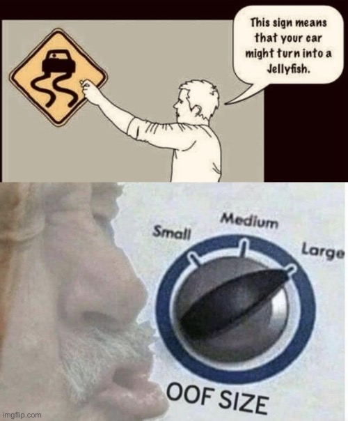Road signs be like | image tagged in oof size large,jellyfish,driving,bruh | made w/ Imgflip meme maker