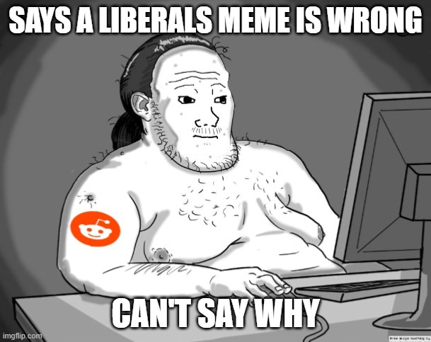 Average Redditor | SAYS A LIBERALS MEME IS WRONG; CAN'T SAY WHY | image tagged in average redditor | made w/ Imgflip meme maker