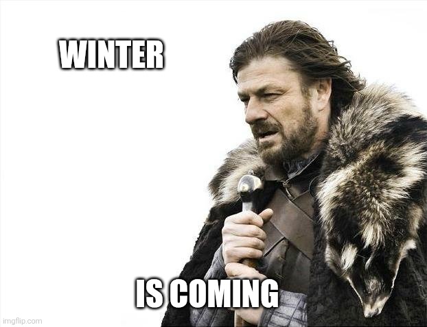 Brace Yourselves X is Coming Meme | WINTER IS COMING | image tagged in memes,brace yourselves x is coming | made w/ Imgflip meme maker