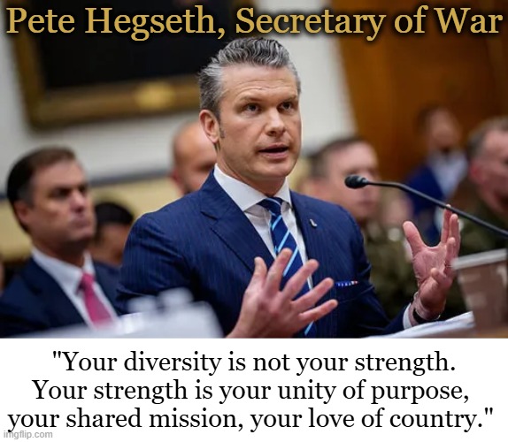 Wise Words Leading Us to 'Peace Through Strength' | Pete Hegseth, Secretary of War; "Your diversity is not your strength.
Your strength is your unity of purpose, 
your shared mission, your love of country." | image tagged in diversity,strength,unity,peace,shared mission,patriotism | made w/ Imgflip meme maker