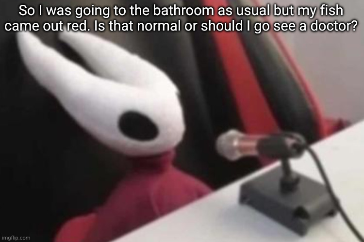 Hornet announcement | So I was going to the bathroom as usual but my fish came out red. Is that normal or should I go see a doctor? | image tagged in hornet announcement | made w/ Imgflip meme maker