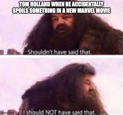 Shouldn't have said that | TOM HOLLAND WHEN HE ACCIDENTALLY SPOILS SOMETHING IN A NEW MARVEL MOVIE | image tagged in shouldn't have said that | made w/ Imgflip meme maker