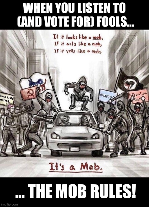 Paid Democrat brown shirt rabble-rousers… | WHEN YOU LISTEN TO 
(AND VOTE FOR) FOOLS…; … THE MOB RULES! | image tagged in political meme,antifa,mob rules,listen to fools | made w/ Imgflip meme maker