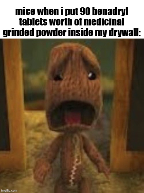 benadryls | mice when i put 90 benadryl tablets worth of medicinal grinded powder inside my drywall: | image tagged in benadryl,fun,funny,memes,cornball,discord | made w/ Imgflip meme maker