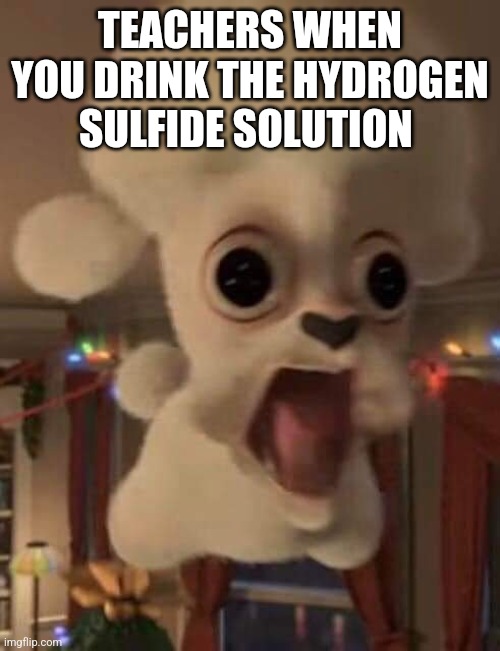 Mr Chew | TEACHERS WHEN YOU DRINK THE HYDROGEN SULFIDE SOLUTION | image tagged in mr chew,science,bullshit,school | made w/ Imgflip meme maker