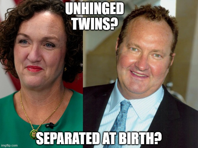 Katie Porter & Randy Quaid | UNHINGED
TWINS? SEPARATED AT BIRTH? | image tagged in ugly twins | made w/ Imgflip meme maker