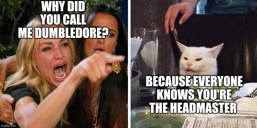 Smudge that darn cat with Karen | WHY DID YOU CALL ME DUMBLEDORE? BECAUSE EVERYONE KNOWS YOU'RE THE HEADMASTER | image tagged in smudge that darn cat with karen | made w/ Imgflip meme maker