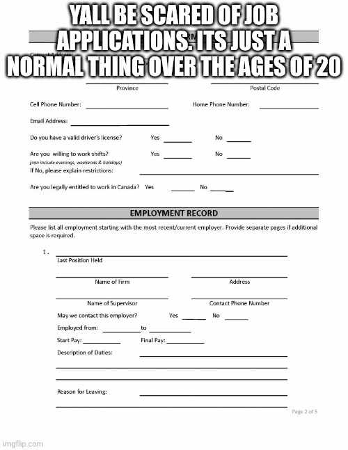 Job Application Blank | YALL BE SCARED OF JOB APPLICATIONS. ITS JUST A NORMAL THING OVER THE AGES OF 20 | image tagged in job application blank | made w/ Imgflip meme maker