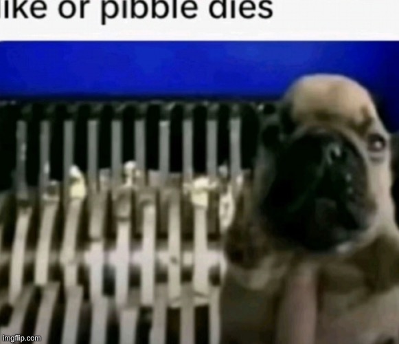 You all care about pibbles, right? | made w/ Imgflip meme maker