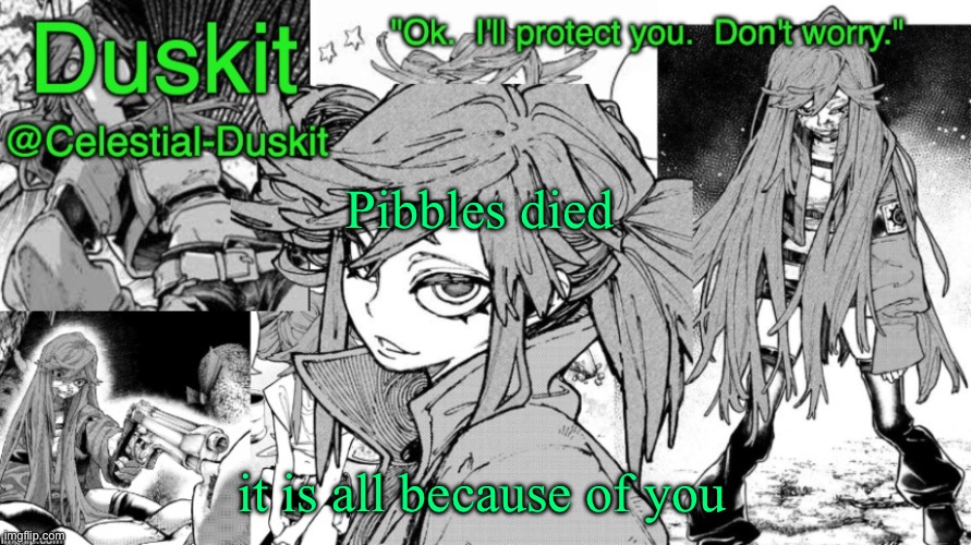 Duskit's Riyo Template | Pibbles died; it is all because of you | image tagged in duskit's riyo template | made w/ Imgflip meme maker