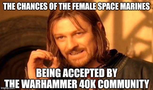 One Does Not Simply | THE CHANCES OF THE FEMALE SPACE MARINES; BEING ACCEPTED BY THE WARHAMMER 40K COMMUNITY | image tagged in memes,daily,debate | made w/ Imgflip meme maker