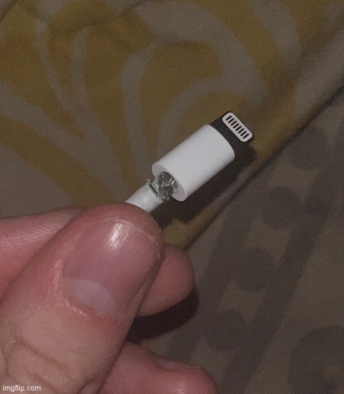 my evil ass charger | made w/ Imgflip meme maker