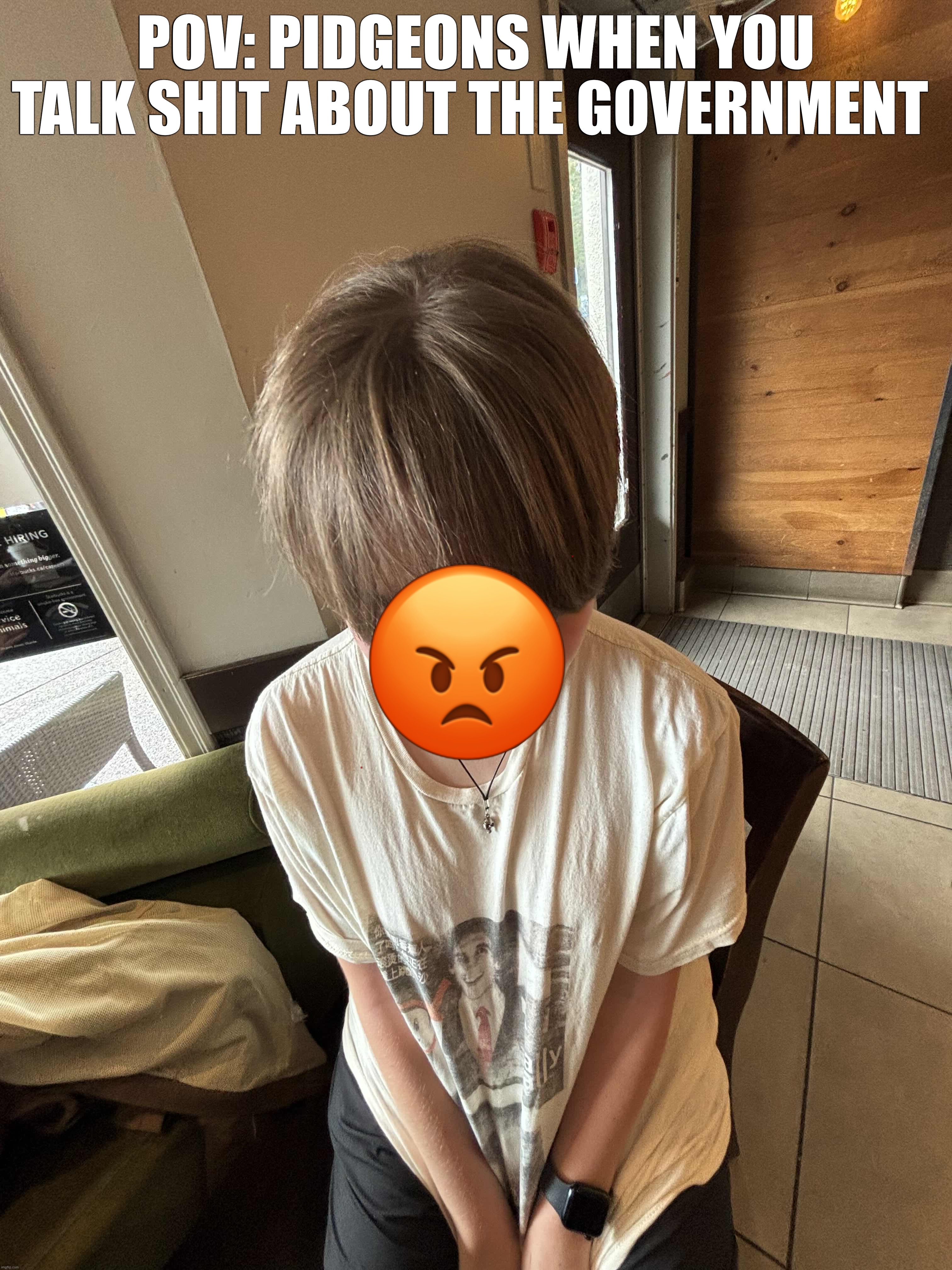 Guys they’re drones i swear | POV: PIDGEONS WHEN YOU TALK SHIT ABOUT THE GOVERNMENT; 😡 | made w/ Imgflip meme maker