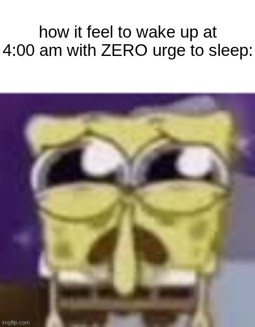 Spunchbop all sad n shit | how it feel to wake up at 4:00 am with ZERO urge to sleep: | image tagged in spunchbop all sad n shit | made w/ Imgflip meme maker