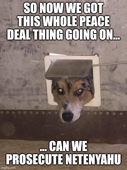 And hamas of course | SO NOW WE GOT THIS WHOLE PEACE DEAL THING GOING ON... ... CAN WE PROSECUTE NETENYAHU | image tagged in dog with head through cat door | made w/ Imgflip meme maker