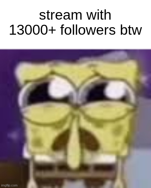 s | stream with 13000+ followers btw | image tagged in spunchbop all sad n shit | made w/ Imgflip meme maker