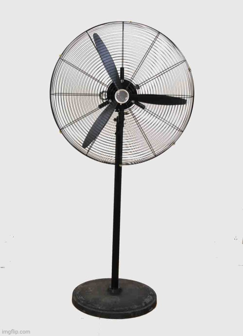 Big Fan | image tagged in big fan | made w/ Imgflip meme maker