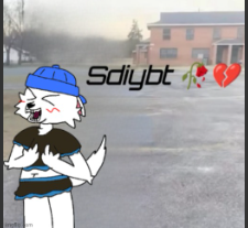 High Quality sdiybt (I hate me life) Blank Meme Template