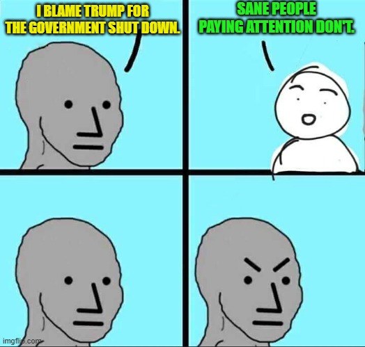 You leftists ever get the feeling you are losing control of the political narrative? | SANE PEOPLE PAYING ATTENTION DON'T. I BLAME TRUMP FOR THE GOVERNMENT SHUT DOWN. | image tagged in npc meme | made w/ Imgflip meme maker
