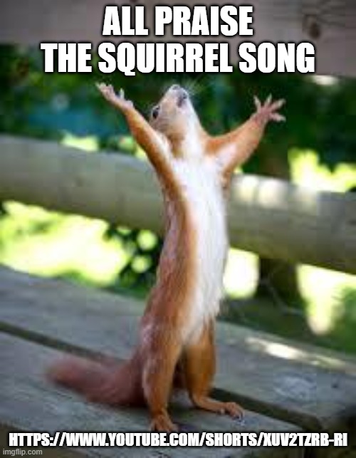 yay | ALL PRAISE THE SQUIRREL SONG; HTTPS://WWW.YOUTUBE.COM/SHORTS/XUV2TZRB-RI | image tagged in praise squirrel | made w/ Imgflip meme maker