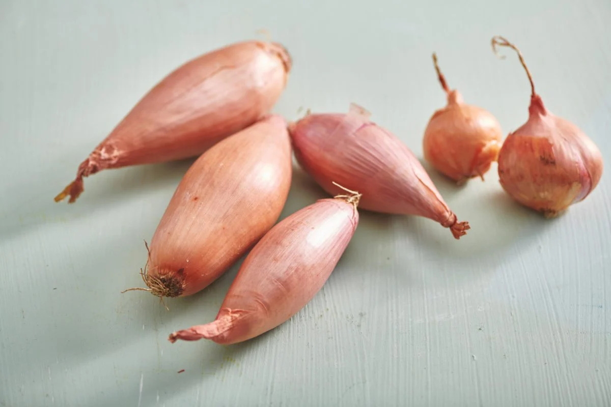Shallots Blank Meme Template
