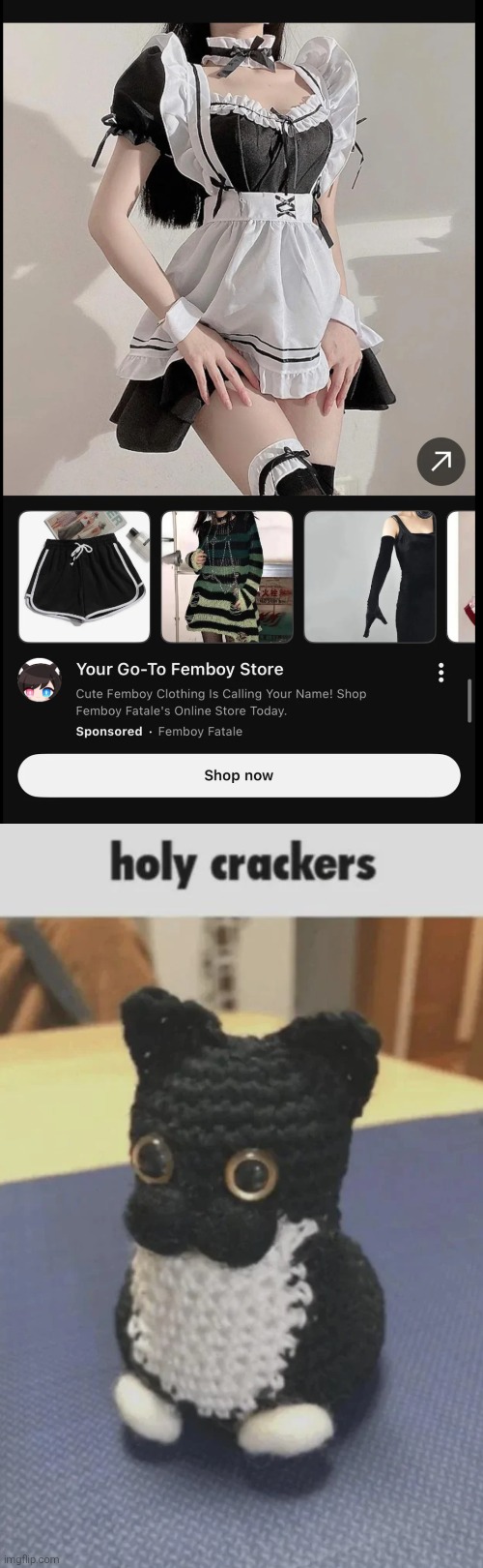 image tagged in holy crackers | made w/ Imgflip meme maker