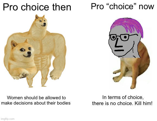 “Choice” | Pro choice then; Pro “choice” now; Women should be allowed to make decisions about their bodies; In terms of choice, there is no choice. Kill him! | image tagged in memes,buff doge vs cheems,pro life | made w/ Imgflip meme maker