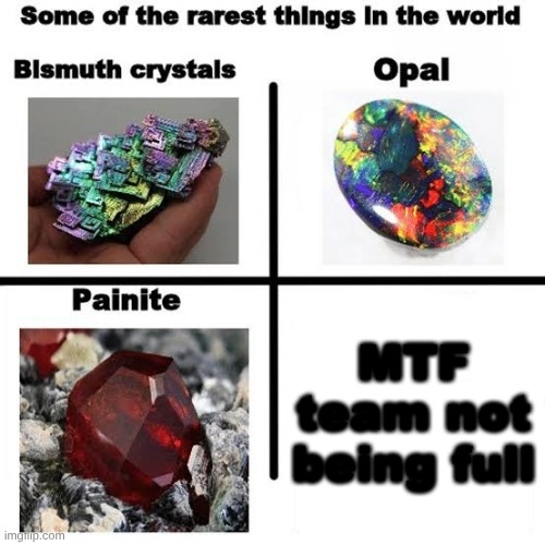 Why is MTF team always full? | MTF team not being full | image tagged in some of the rarest things in the world | made w/ Imgflip meme maker