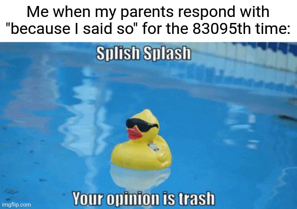 BUT WHY | Me when my parents respond with "because I said so" for the 83095th time: | image tagged in splish splash your opinion is trash,memes,funny,opinion,relatable | made w/ Imgflip meme maker