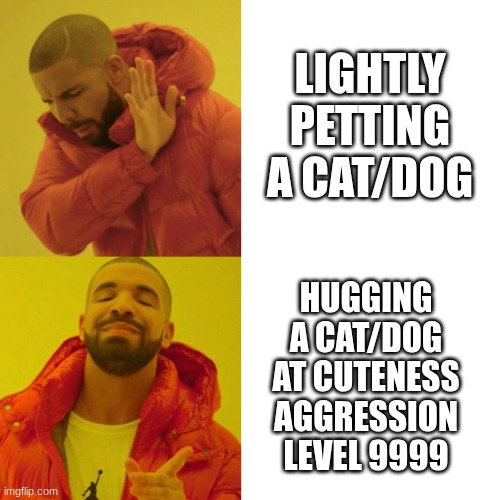 Drake Blank | LIGHTLY PETTING A CAT/DOG; HUGGING A CAT/DOG AT CUTENESS AGGRESSION LEVEL 9999 | image tagged in drake blank,funny,relatable,cats,cuteness agression,cuteness overload | made w/ Imgflip meme maker