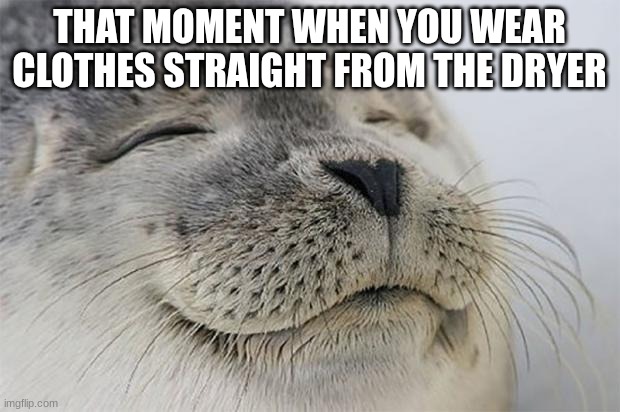clever seal title | THAT MOMENT WHEN YOU WEAR CLOTHES STRAIGHT FROM THE DRYER | image tagged in memes,satisfied seal | made w/ Imgflip meme maker