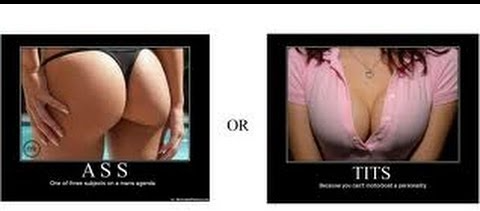 Ass or tits Blank Meme Template