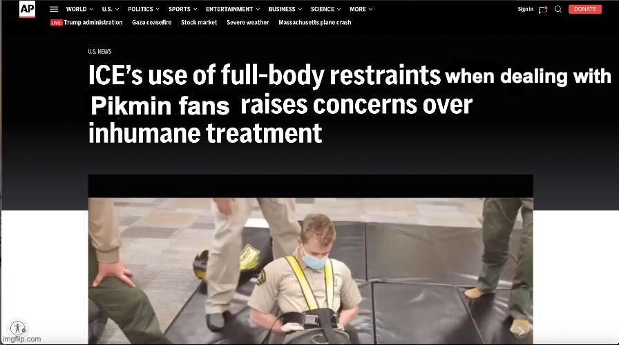 f**k it this is becoming a new trend | when dealing with; Pikmin fans | made w/ Imgflip meme maker