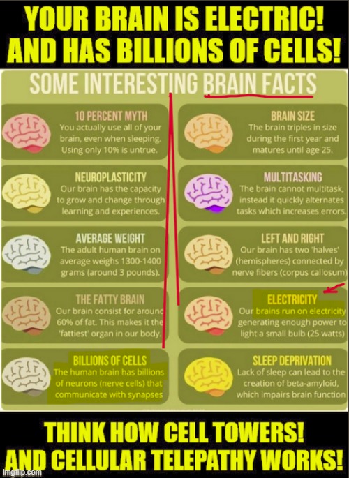 this is an example of qualifying for mod to winners | image tagged in brain facts | made w/ Imgflip meme maker