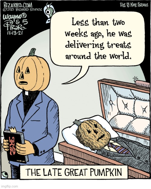 Bizarro Comics | image tagged in comics,bizarro comics,funeral,jack o lanterns,shriveled up,the great pumpkin | made w/ Imgflip meme maker