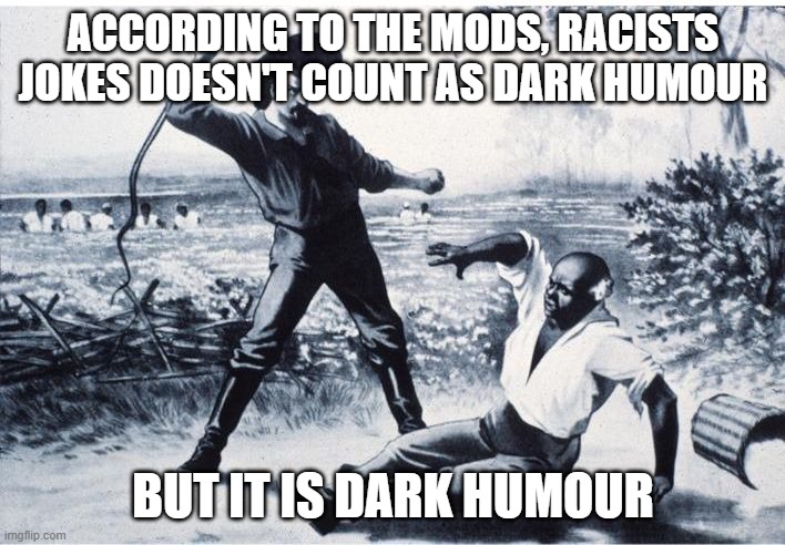 slave | ACCORDING TO THE MODS, RACISTS JOKES DOESN'T COUNT AS DARK HUMOUR BUT IT IS DARK HUMOUR | image tagged in slave | made w/ Imgflip meme maker