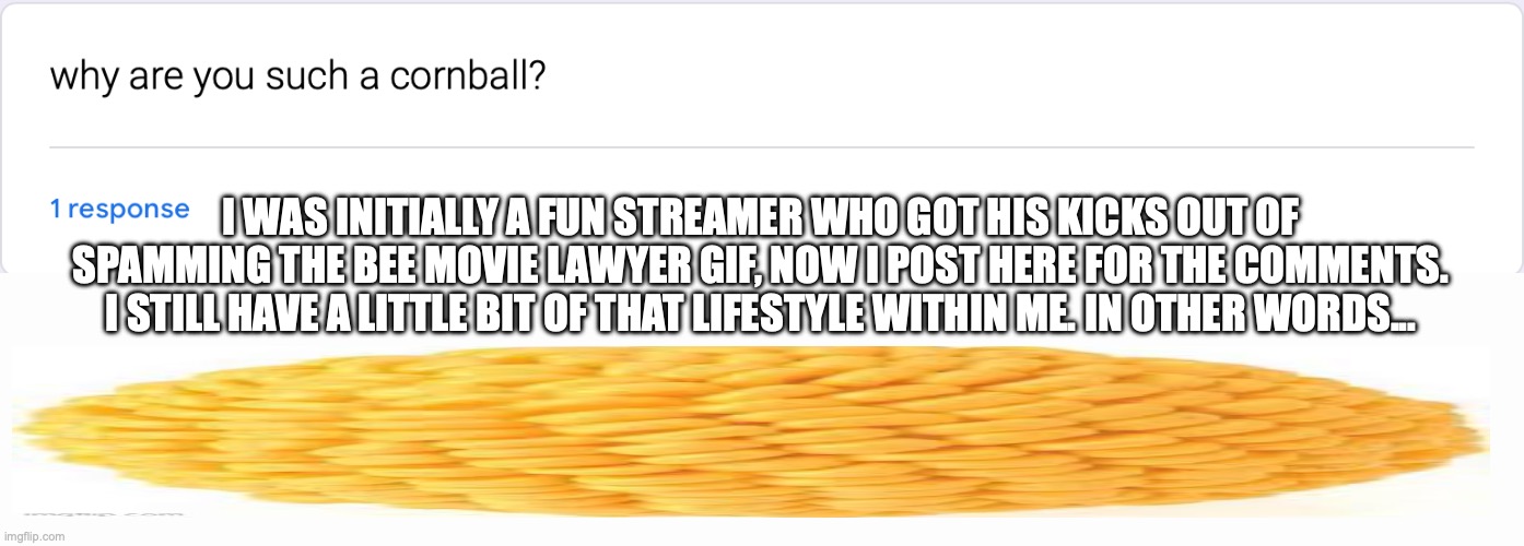 I WAS INITIALLY A FUN STREAMER WHO GOT HIS KICKS OUT OF SPAMMING THE BEE MOVIE LAWYER GIF, NOW I POST HERE FOR THE COMMENTS. I STILL HAVE A LITTLE BIT OF THAT LIFESTYLE WITHIN ME. IN OTHER WORDS... | made w/ Imgflip meme maker