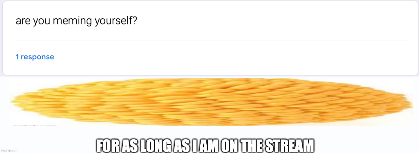 FOR AS LONG AS I AM ON THE STREAM | made w/ Imgflip meme maker